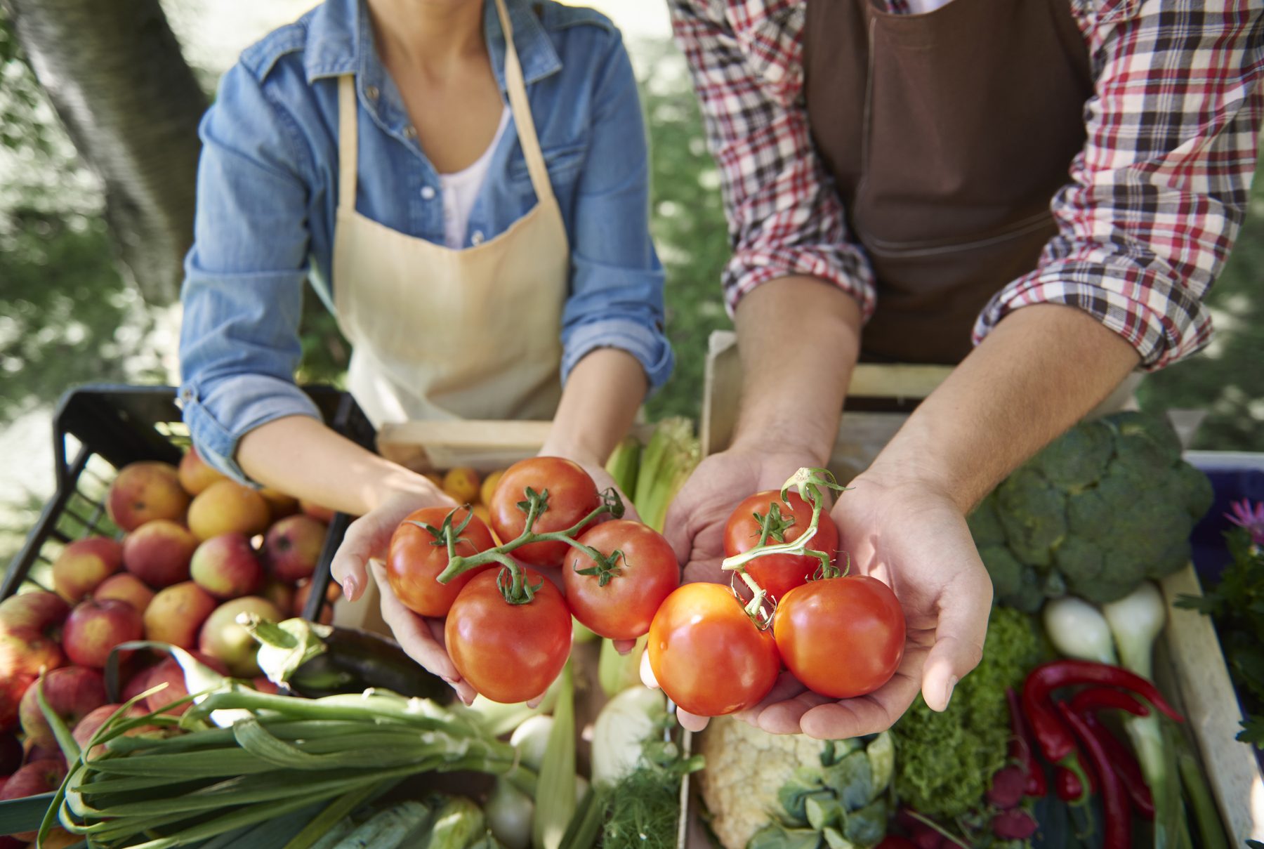 A grower and a customer exchanging fresh tomatoes across a market table of produce